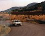 2 Lancia 037 Rally D.Cerrato - G.Cerri (42)